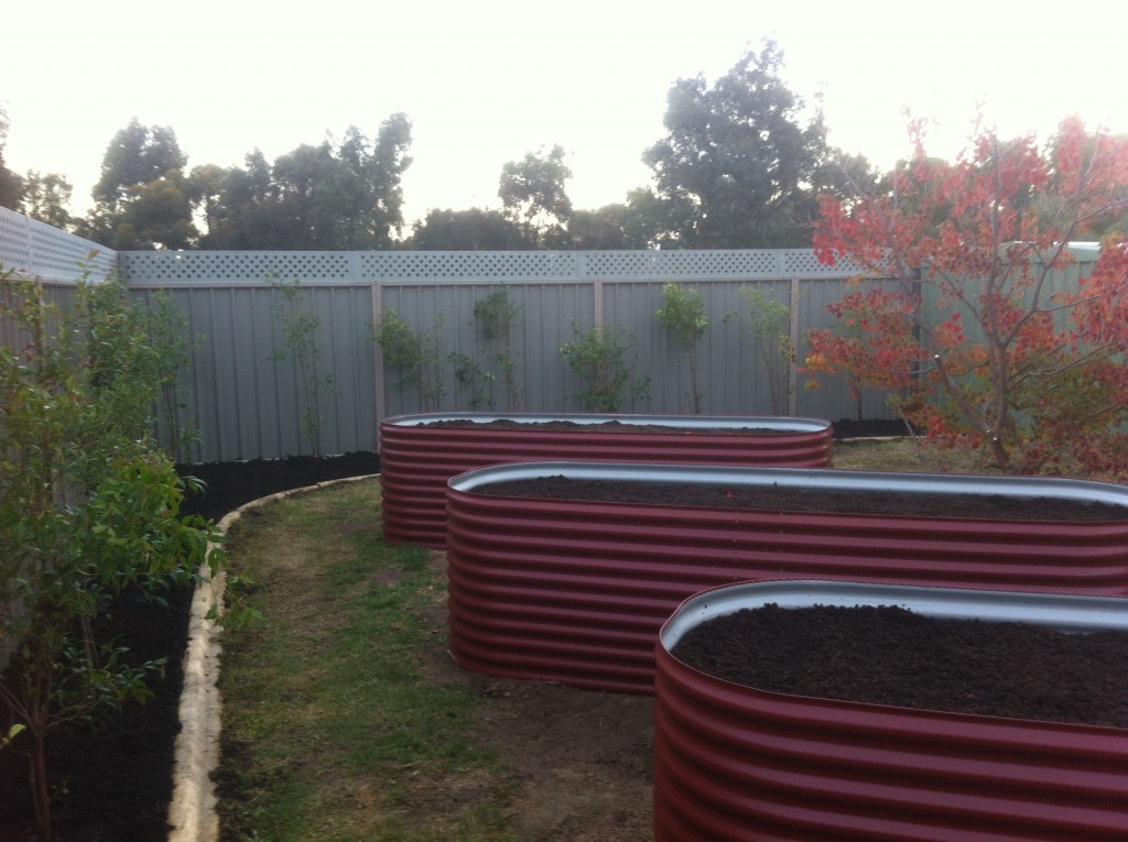 Veggie Tubs Supply, Installation and Planting Mature Size Plants - Bellevue