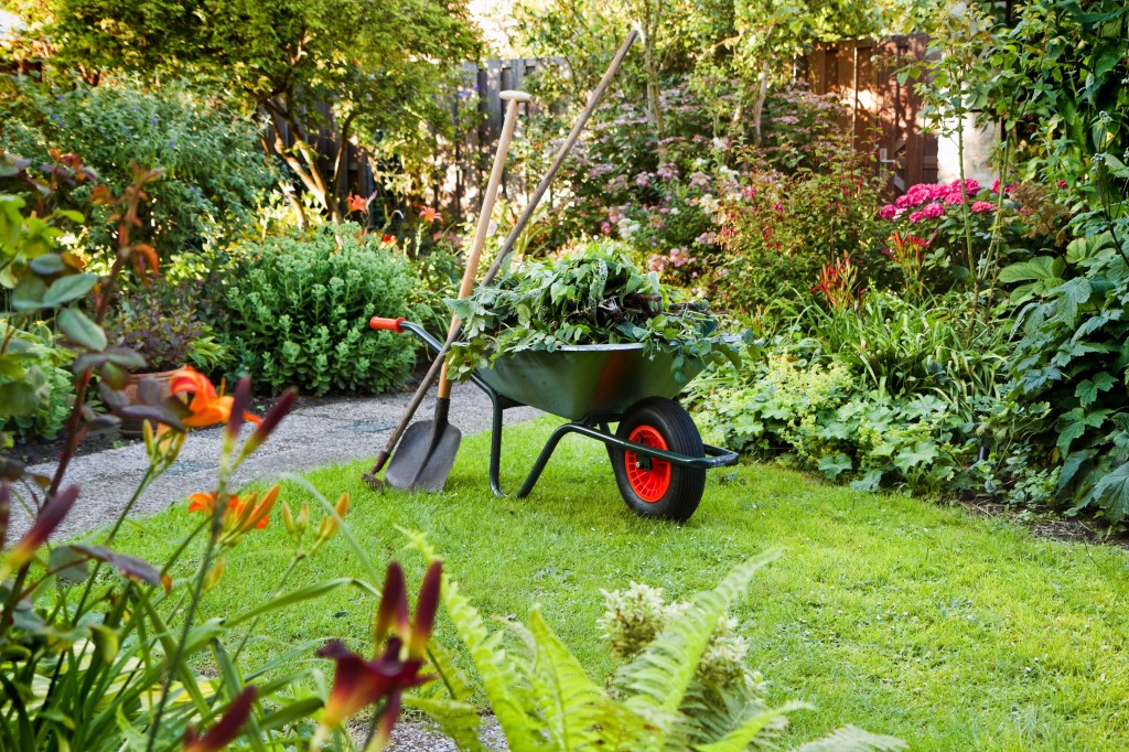 Garden and Cleanup Services