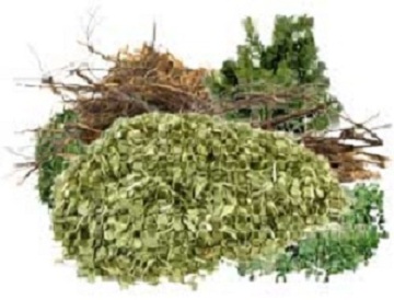 Green Waste Removal